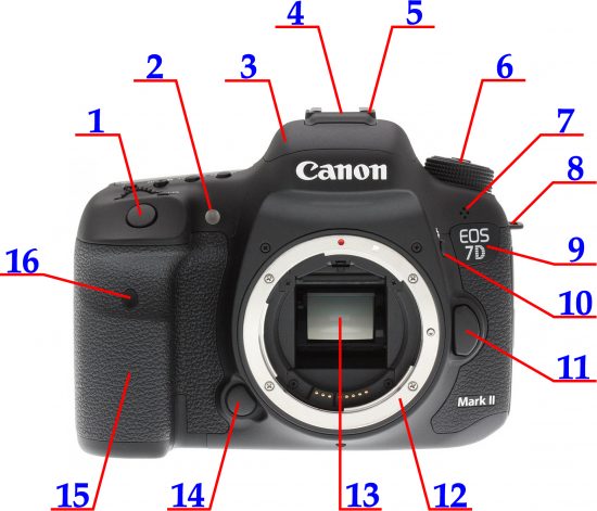 Canon EOS 7D Mark II zepředu | ovládněte svojí zrcadlovku | moje Tajemno