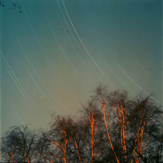 Noční fotografie stromů a nebe | moje Tajemno